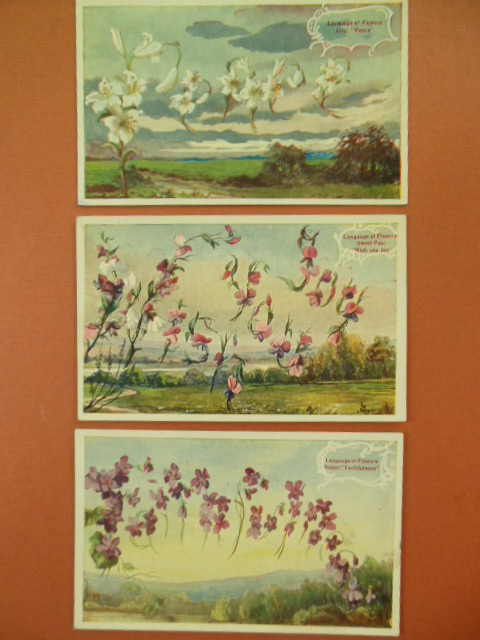 Image for Language of Flowers Postcard Series; Violet, Lily, Sweet Pea, three cards)