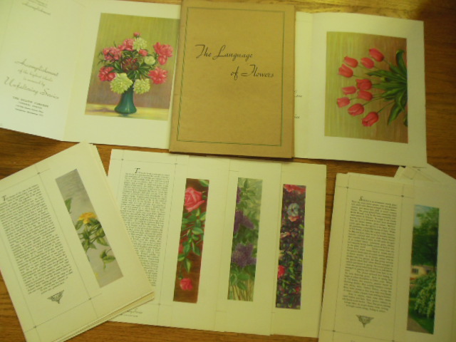 Image for The Language of Flowers; Thirty Floral Prints and the Story of Each Flower 1937