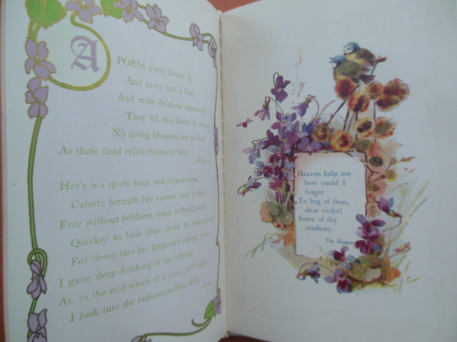 Image for Violets From Lowell (Gift Book in Original Box 1912)