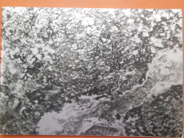 Image for New Alchemy: Elements, Systems, Forces Art Catalog (Canada 1969)