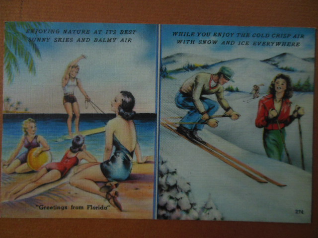 Image for Greetings From Florida Postcard Beach and Snow Tichnor (274)