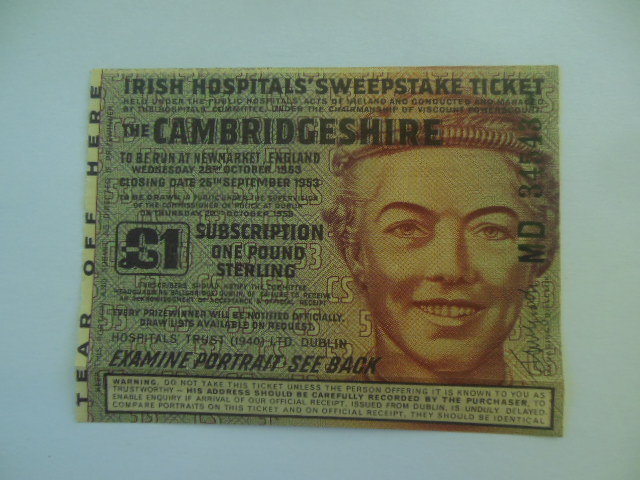 Image for Irish Hospitals' Sweepstake Ticket 1953