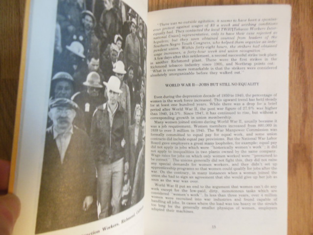 Image for Working Women and Their Organizations -- 150 Years of Struggle (1974)