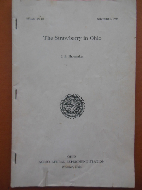 Image for The Strawberry In Ohio Bulletin 444