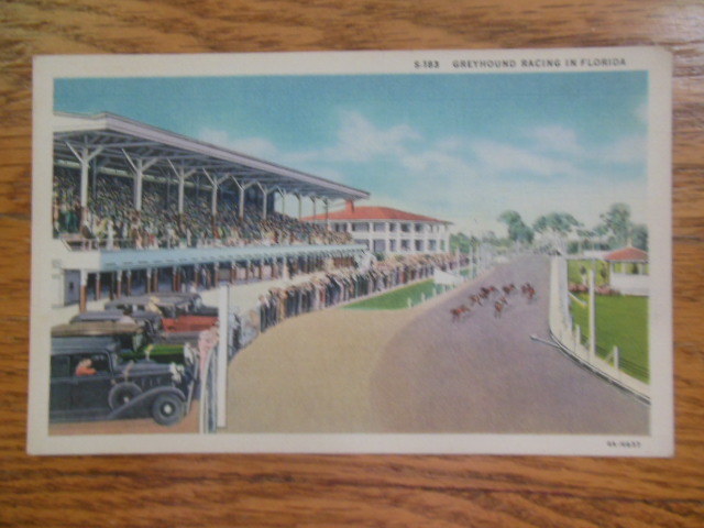 Image for Linen Postcard Greyhound Racing in Florida