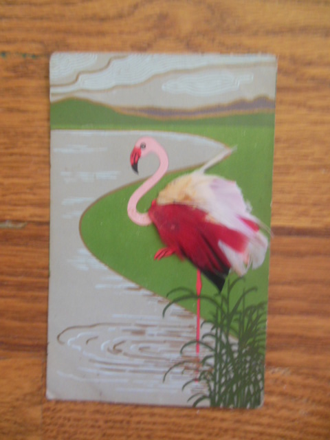 Image for Postcard Flamingo With Actual Feathers (early 20th century)