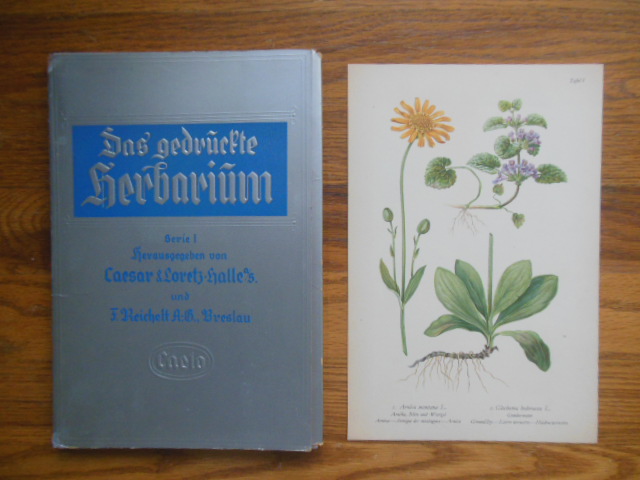 Image for Das Gedruckte Herbarium Serie I.