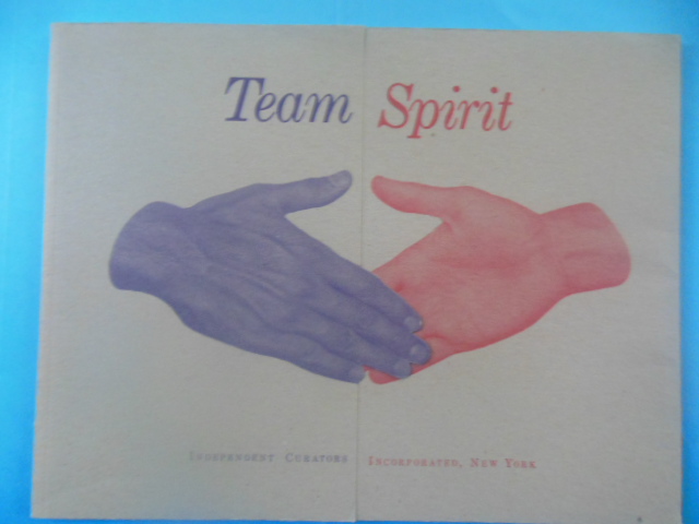 Image for Team Spirit. Independent Art Curators (1991)