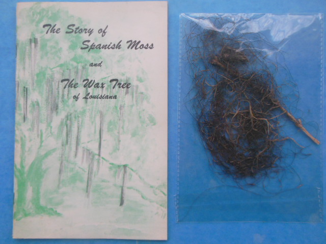 Image for The Story of Spanish Moss and The Wax Tree Louisiana's Forgotten Product (Sample of Spanish Moss Laid-in)