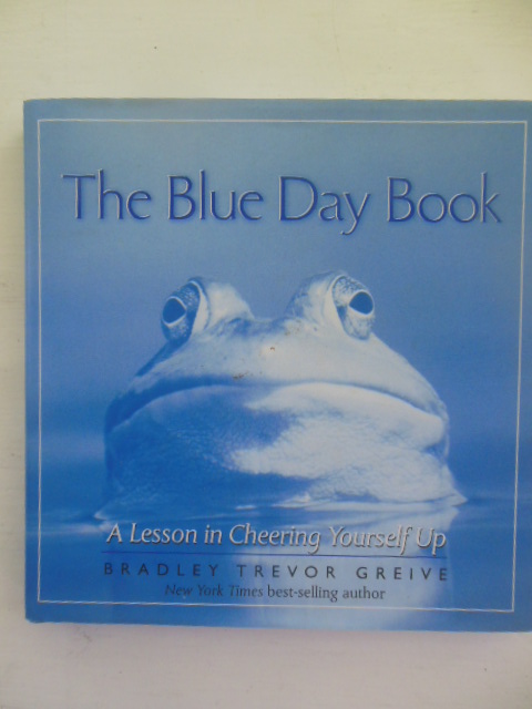 Image for The Blue Day Book: A Lesson In Cheering Yourself Up (20000)