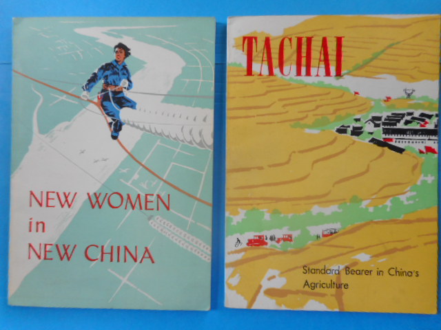 Image for New Women In China