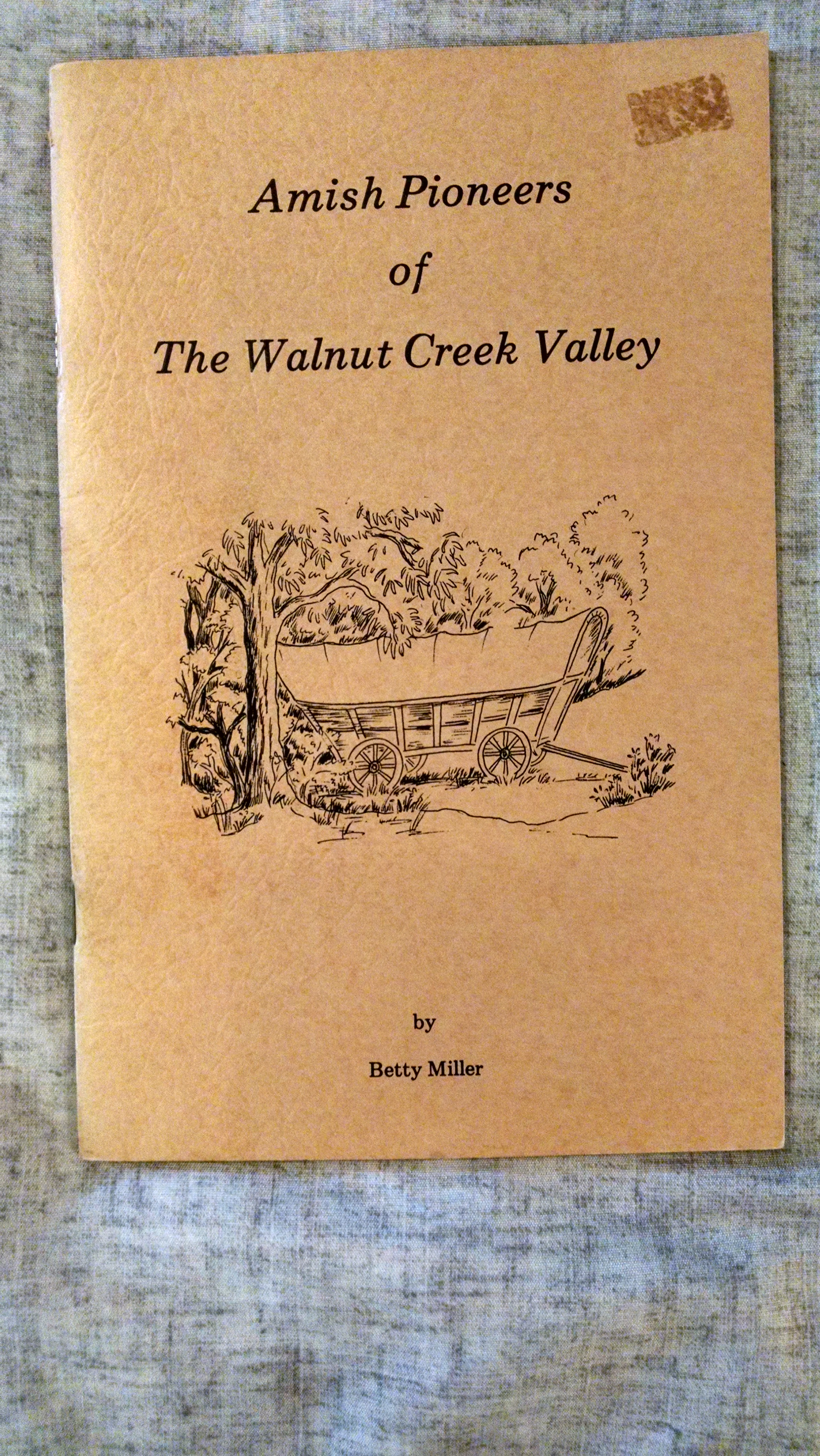 Image for AMISH PIONEERS OF WALNUT CREEK VALLEY