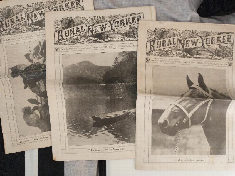 Image for THE RURAL NEW - YORKER     [  5 ISSUES ]