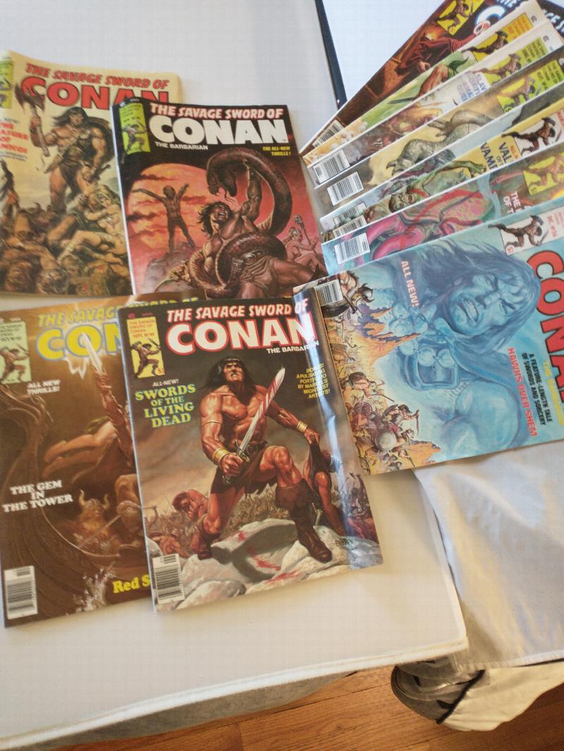 Image for THE SAVAGE SWORD OF CONAN THE BARBARIAN  [ 12 ISSUES , NO 36 THROUGH 47 ]
