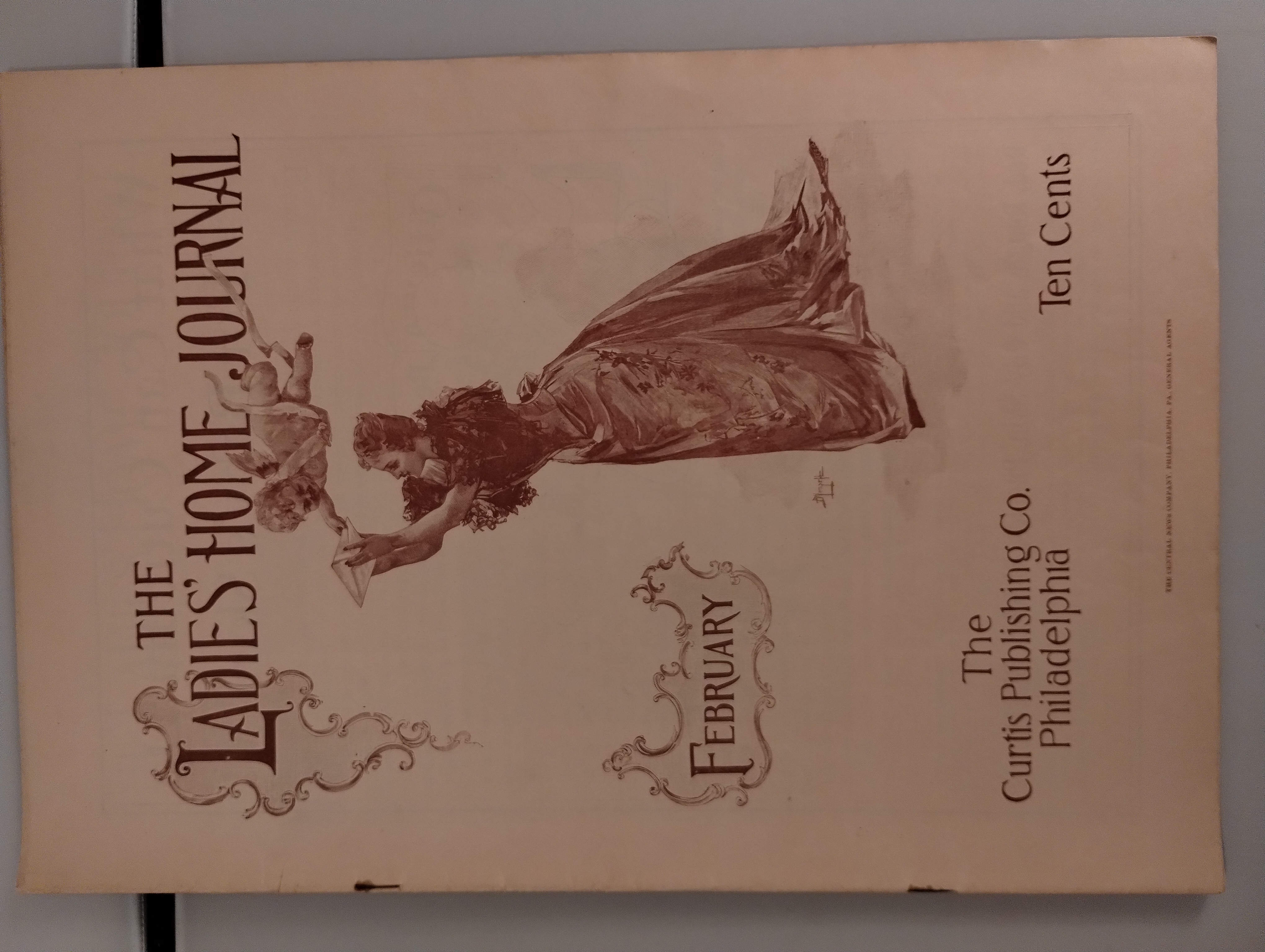 THE LADIES HOME JOURNAL FEB. 1893