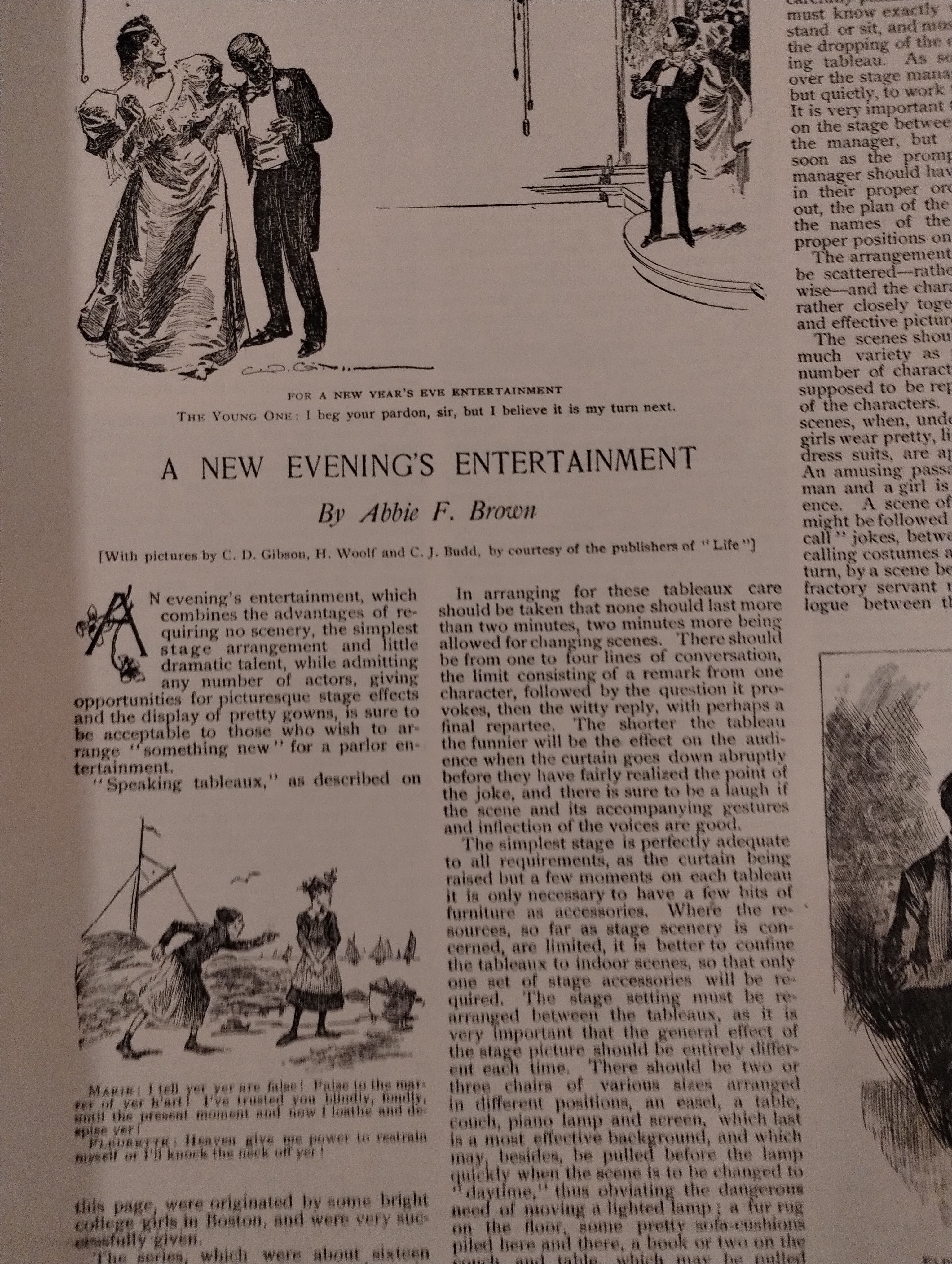 THE LADIES HOME JOURNAL JAN 1895